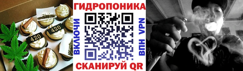 Canna-Cookies марихуана  Купить закладки  Инсар 
