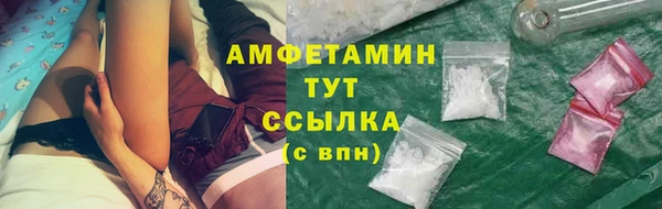 PSILOCYBIN Ельня