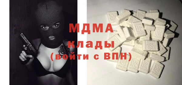 мдпв Елабуга