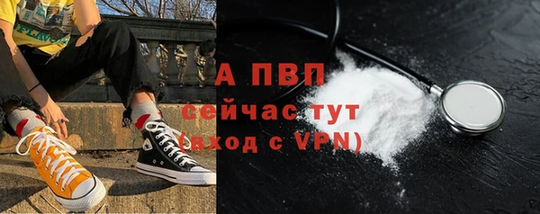 спиды Дмитриев