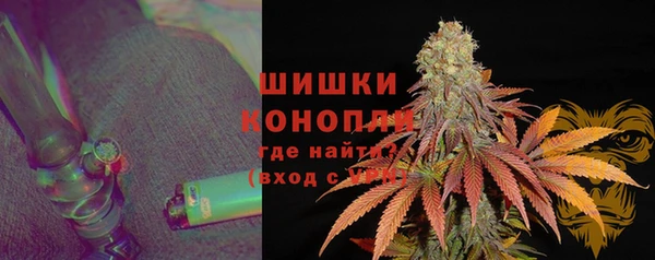 PSILOCYBIN Ельня