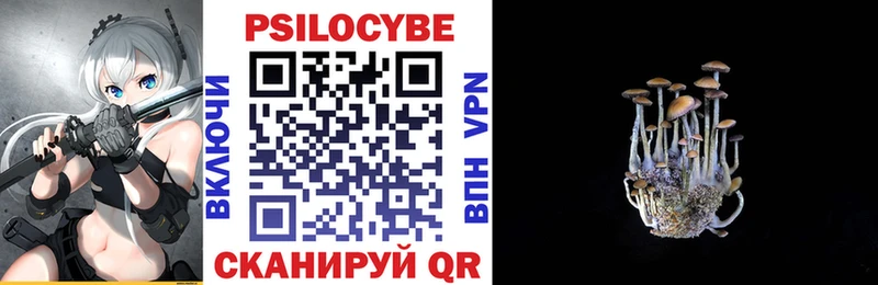 Псилоцибиновые грибы Cubensis  Купить где  Инсар 